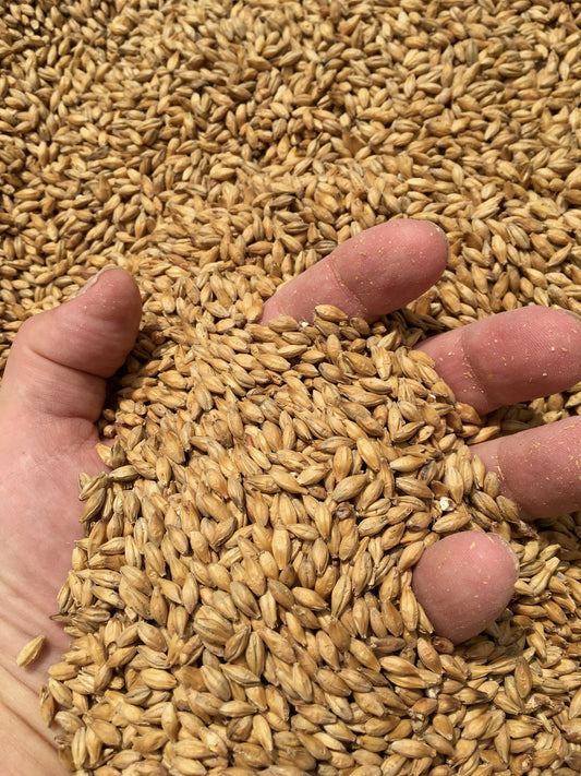 伊八が目指すもの